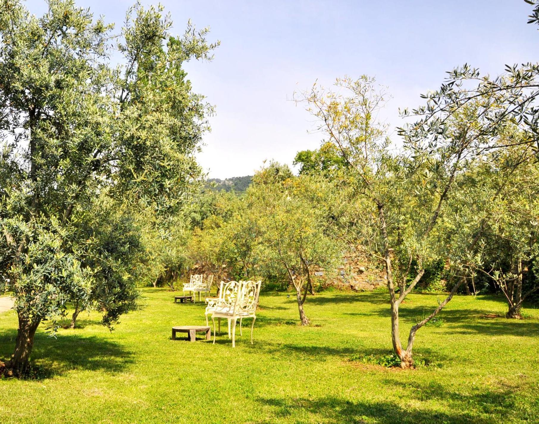 Gullu Konaklari Selçuk Exterior foto