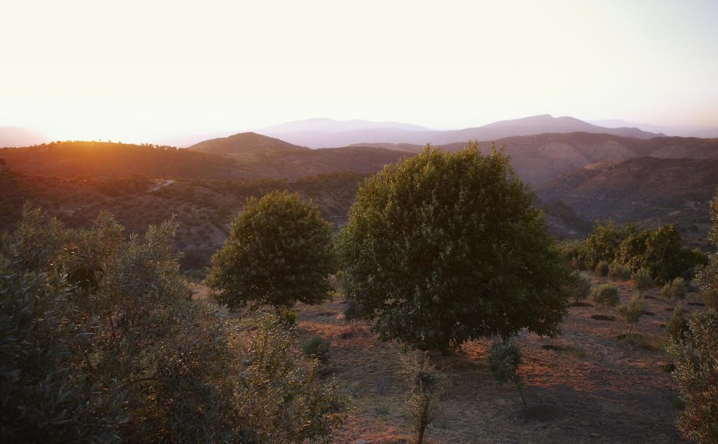 Gullu Konaklari Selçuk Exterior foto
